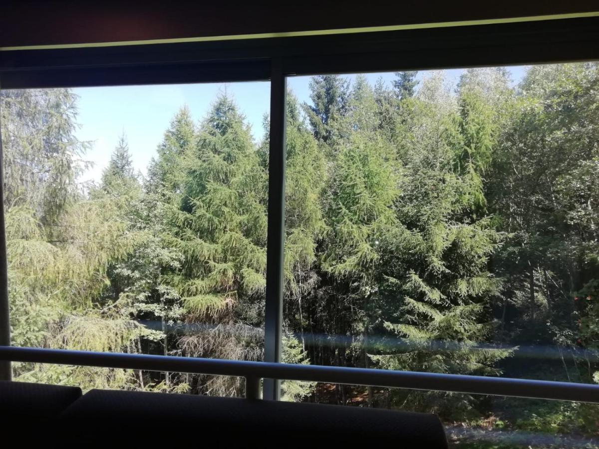 Finestra Sul Bosco - Monolocale Marilleva 1400 Apartman Kültér fotó